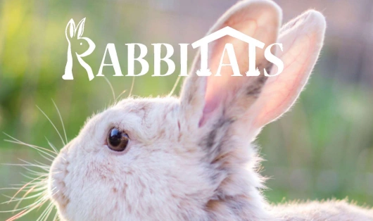 Rabbitats Youth Leader