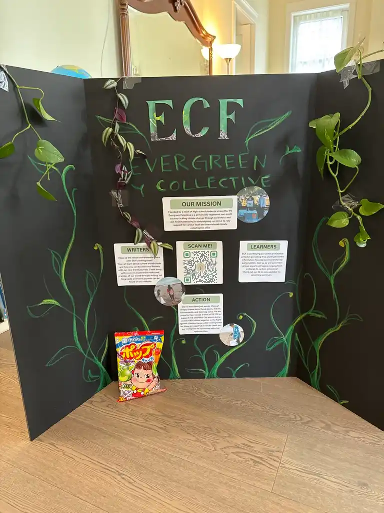 Social Media Coordinator